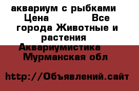 аквариум с рыбками › Цена ­ 15 000 - Все города Животные и растения » Аквариумистика   . Мурманская обл.